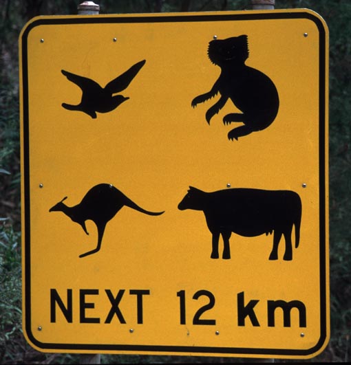 Schilder-Tiere-klein.jpg (48487 Byte) Schilder-Tiere-klein.jpg (48487 Byte)